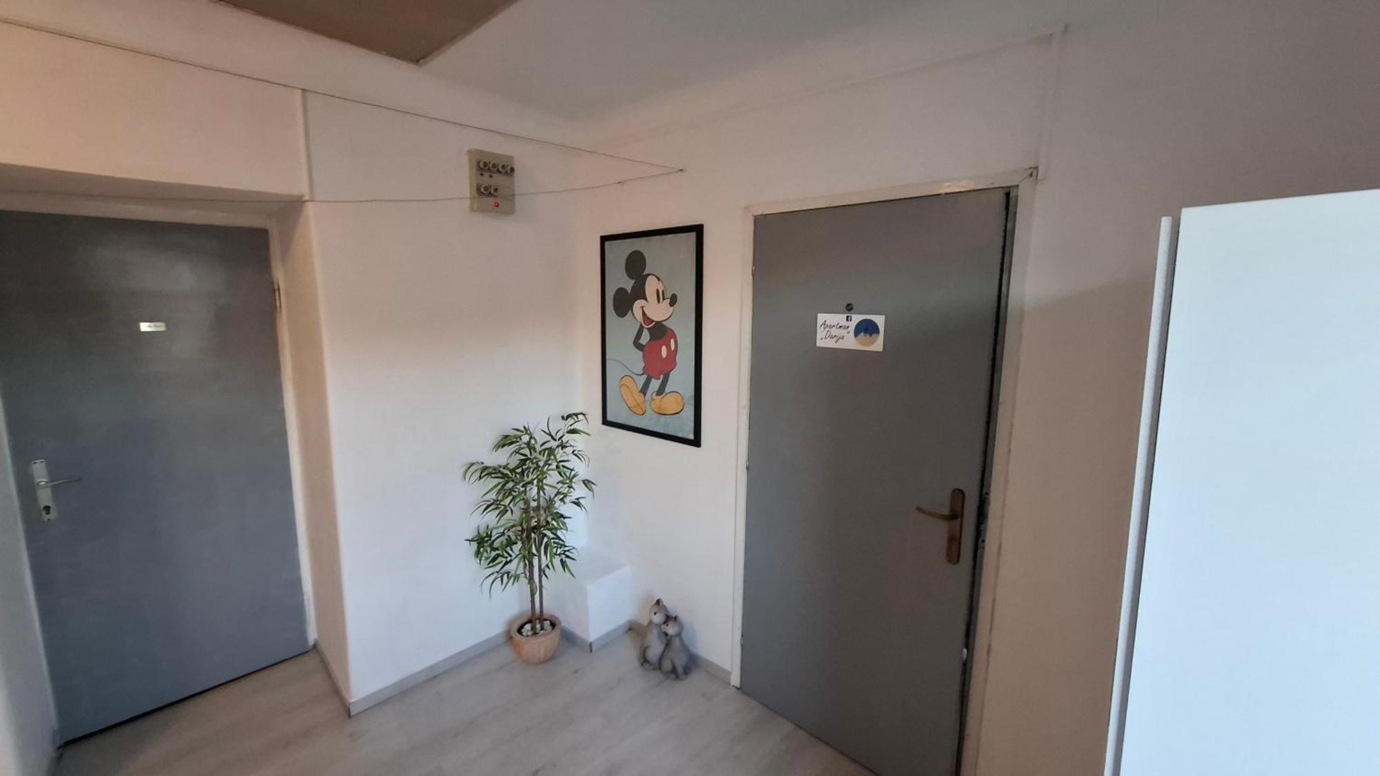 Apartman Darija Pazin Eksteriør bilde