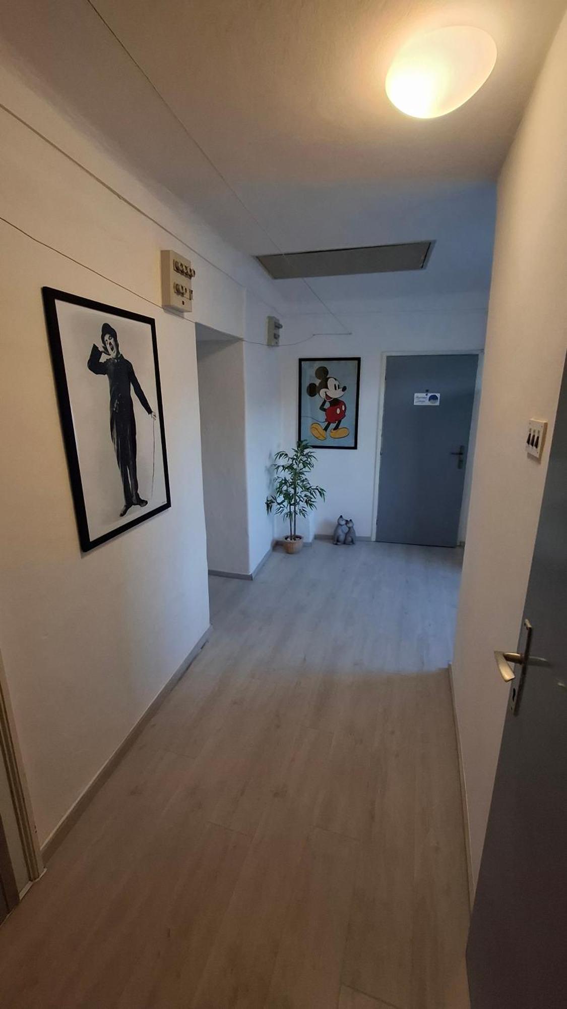 Apartman Darija Pazin Eksteriør bilde